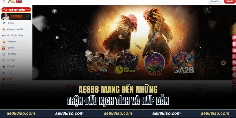 AE888 mang đến những trận đấu kịch tính và hấp dẫn