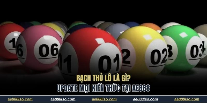 Bạch thủ lô là gì