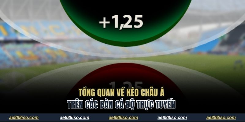 Giới thiệu tổng quan về kèo châu Á phổ biến trên các bàn cá độ